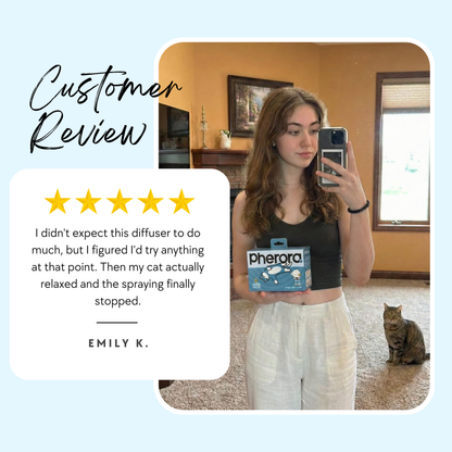 Cat calming diffuser