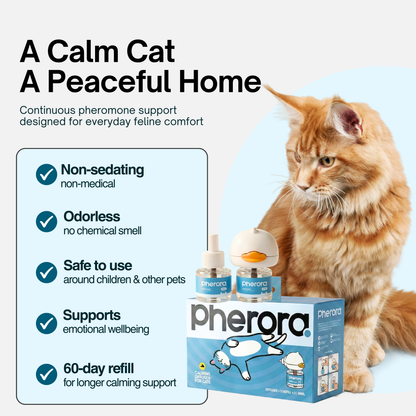 Cat calming diffuser