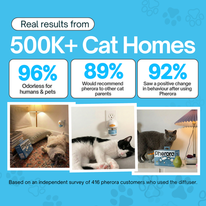 Cat calming diffuser